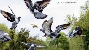 significado-de-sonar-con-palomas
